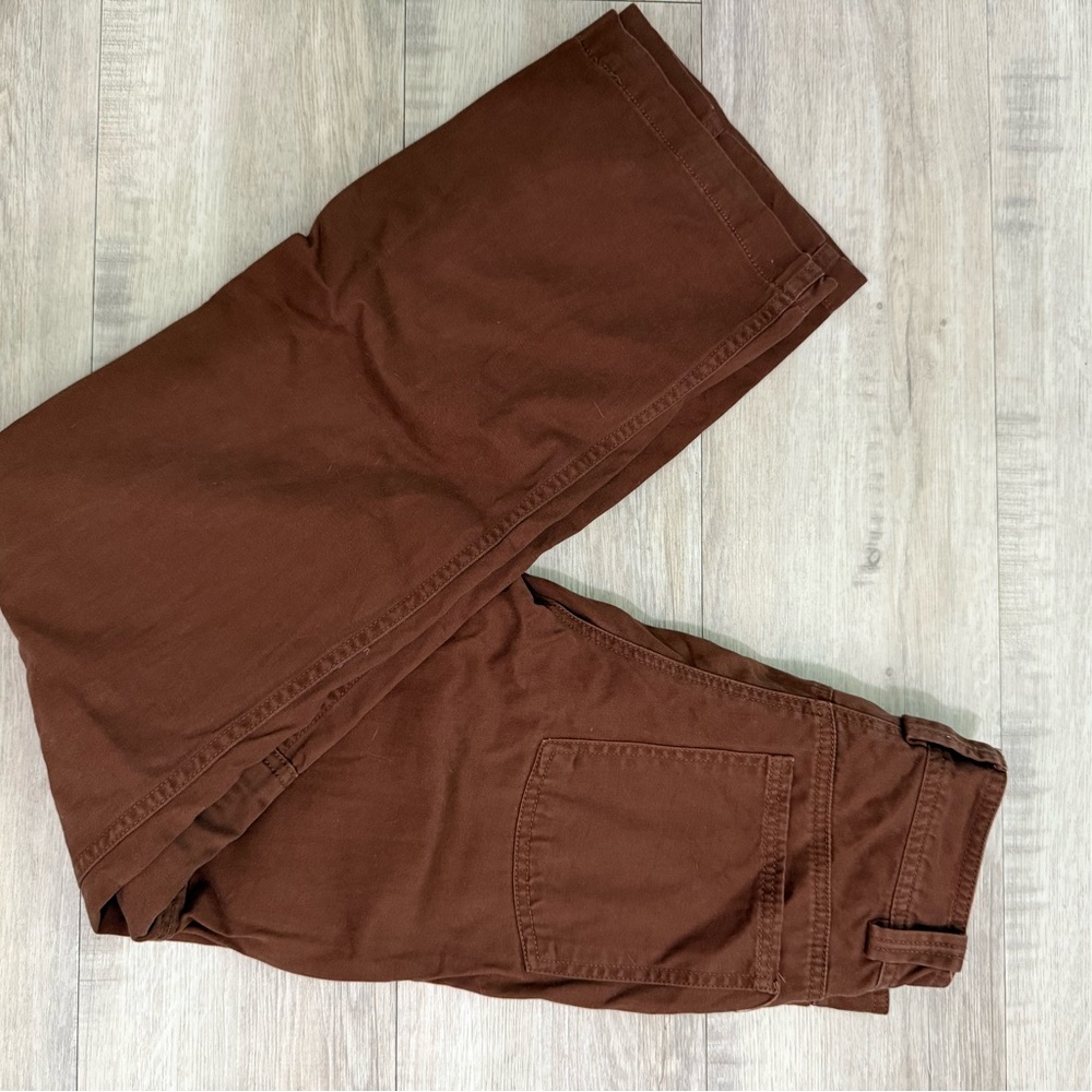 Aritzia Sunday Best brown/red cargos
